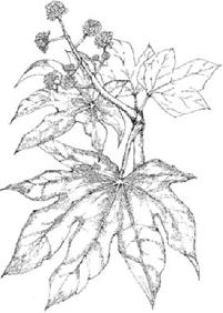 pagenumber_ebook=272,pagenumber_book=272