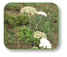 pagenumber_ebook=21,pagenumber_book=8