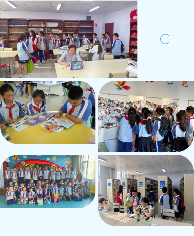 image.png?v=1785055568793