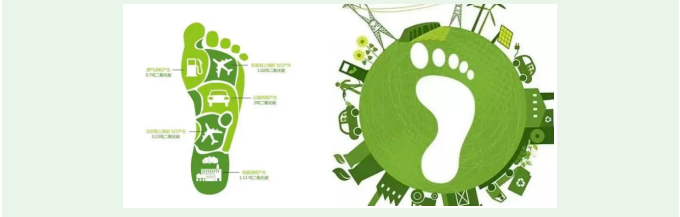 image image.png?v=1763569561592