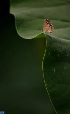 image image.png?v=1770180716921