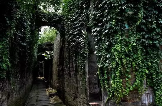 20170815155535_g2umu7jbud 20170815155535_g2umu7jbud.png?v=1770170686191