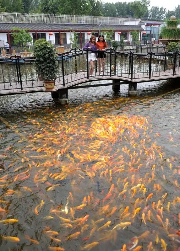 640.webp (2) 640.webp (2).jpg