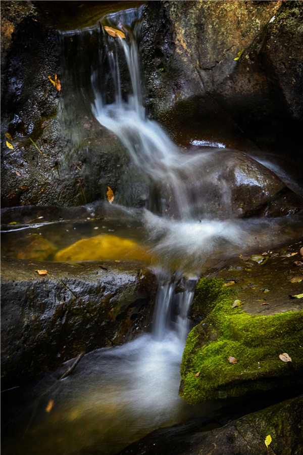 23--aaDSC_6534峡谷诗韵。 23--aaDSC_6534峡谷诗韵。.jpg