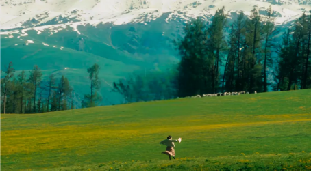 image image.png?v=1770186054932