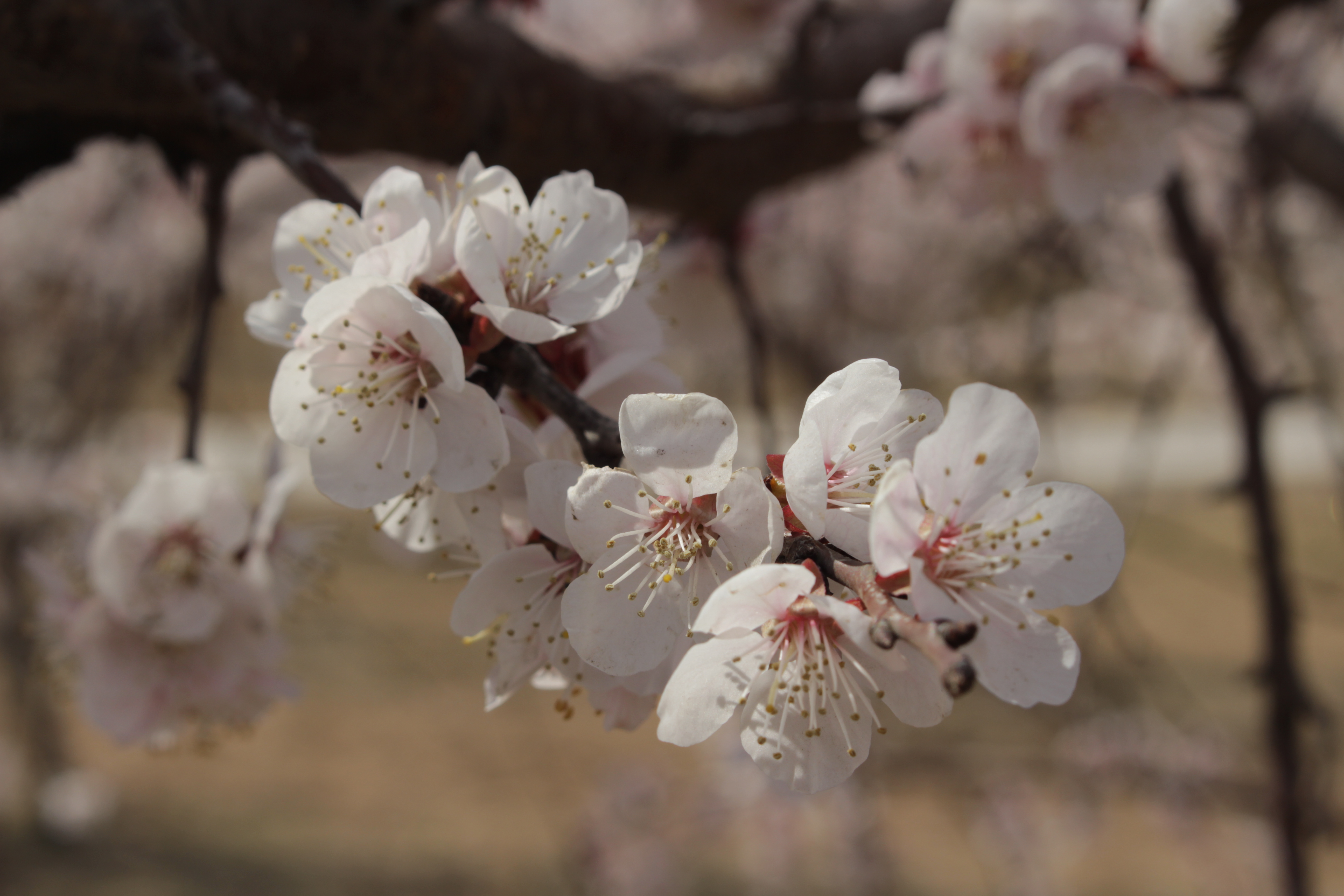 0b1f8085aea46ac17ffc3c6f029b4c6 0b1f8085aea46ac17ffc3c6f029b4c6.jpg