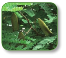 pagenumber_ebook=190,pagenumber_book=177