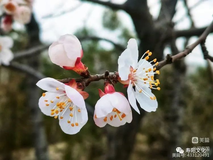 微信图片_20230414095940