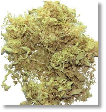 pagenumber_ebook=210,pagenumber_book=197