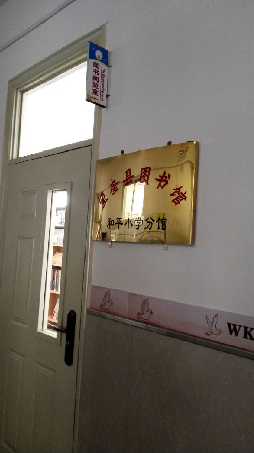 IMG_20170628_102946.jpg?v=1764963764480