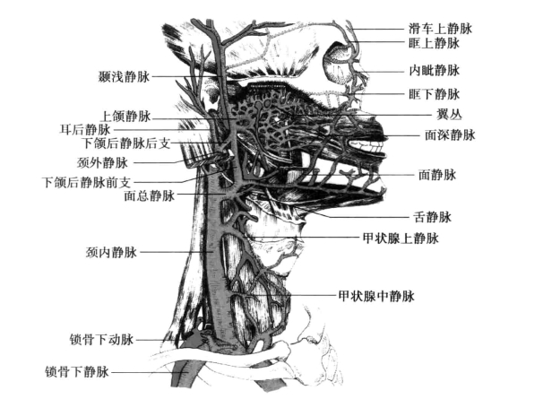 pagenumber_ebook=82,pagenumber_book=73