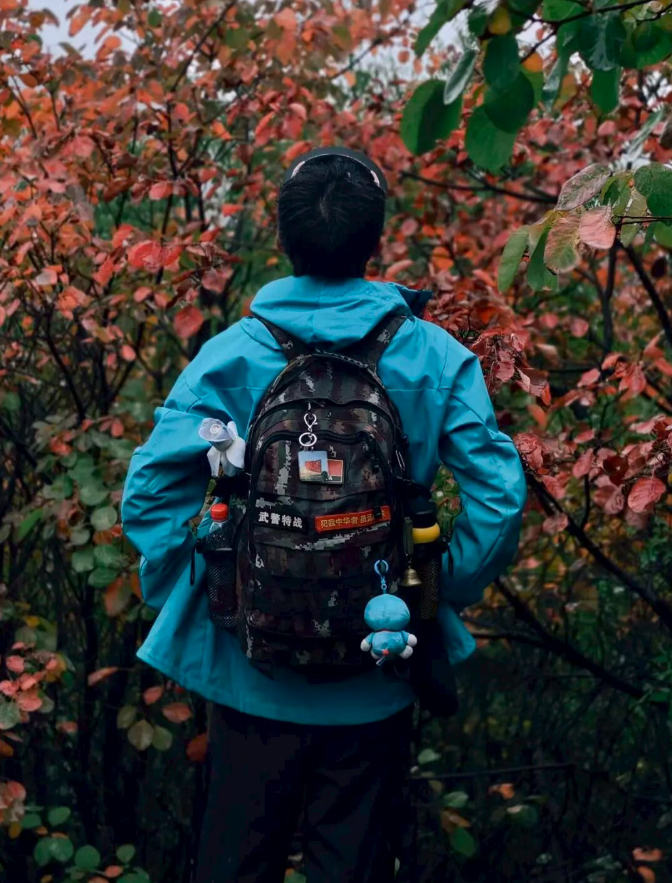 1befc291b8dab8e80cb1e8dd380a43dd 1befc291b8dab8e80cb1e8dd380a43dd.png