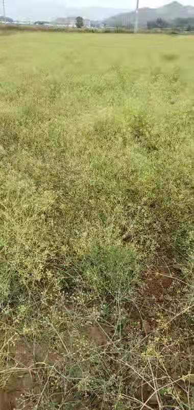 15a89a49fdd4646aa2c0ce574dbaf07 15a89a49fdd4646aa2c0ce574dbaf07