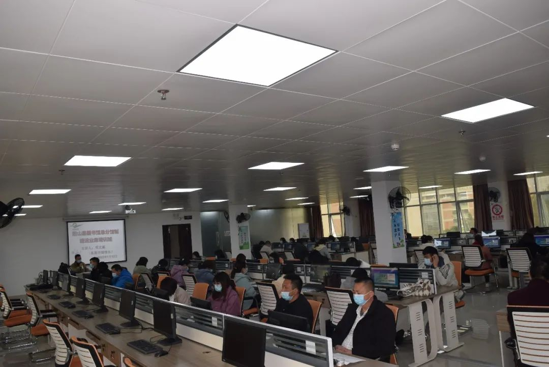 图片1 图片1.png?v=1772886673178