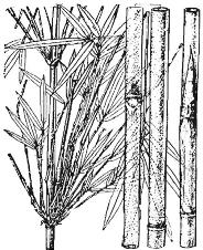 pagenumber_ebook=125,pagenumber_book=125