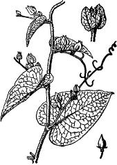 pagenumber_ebook=181,pagenumber_book=181