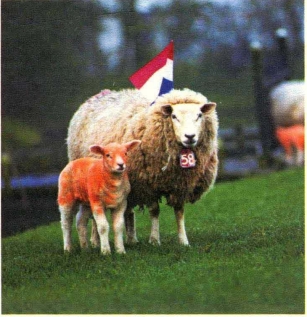 pagenumber_ebook=66,pagenumber_book=57