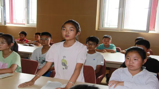 image image.png?v=1763562821236