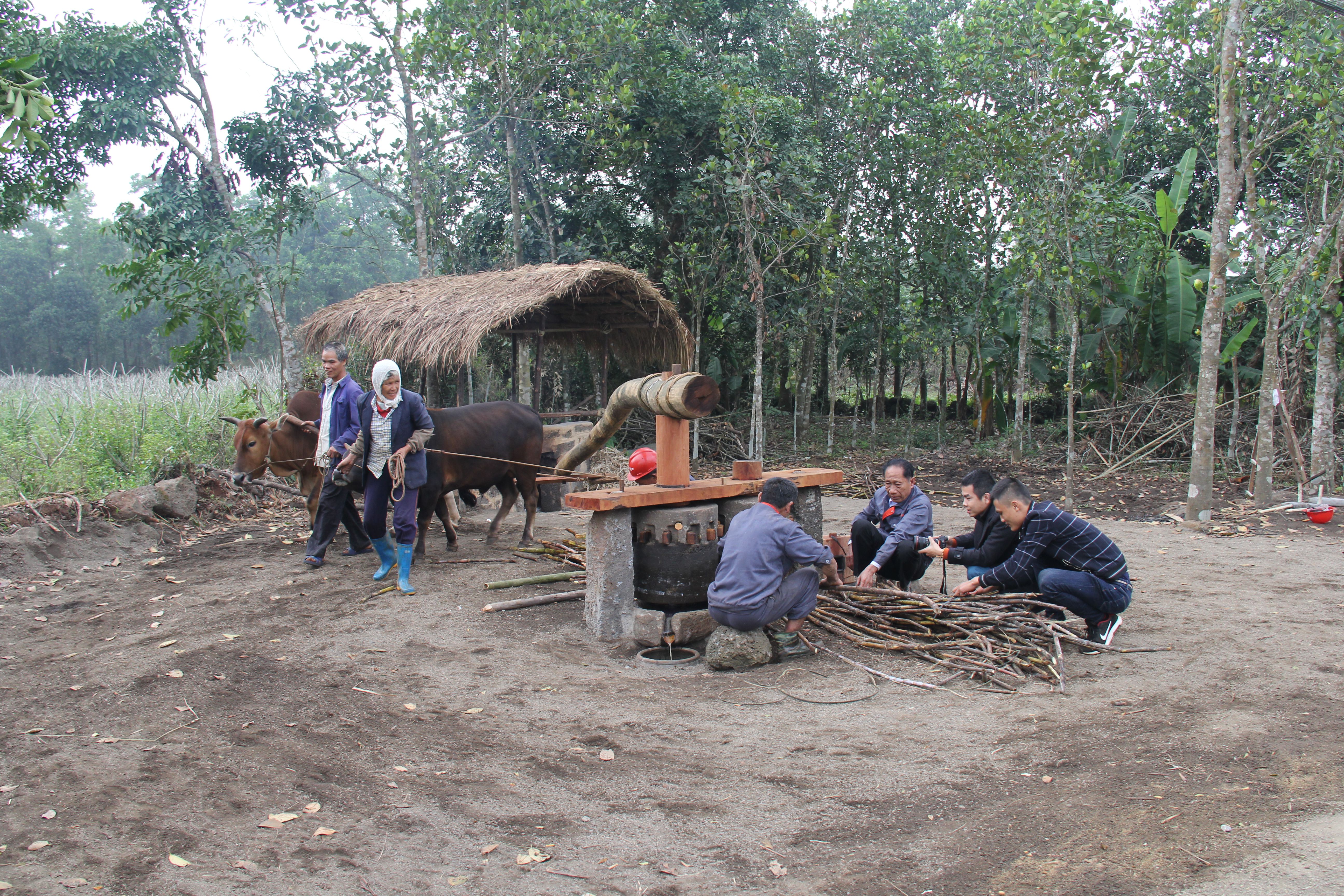 土糖传承人吴奇珍 土糖传承人吴奇珍.jpg