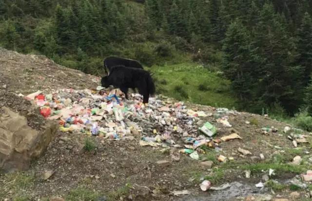 微信图片_20201022154910 微信图片_20201022154910.jpg