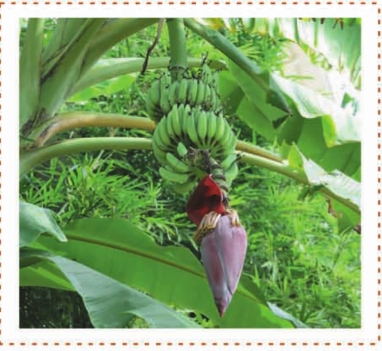 pagenumber_ebook=86,pagenumber_book=70