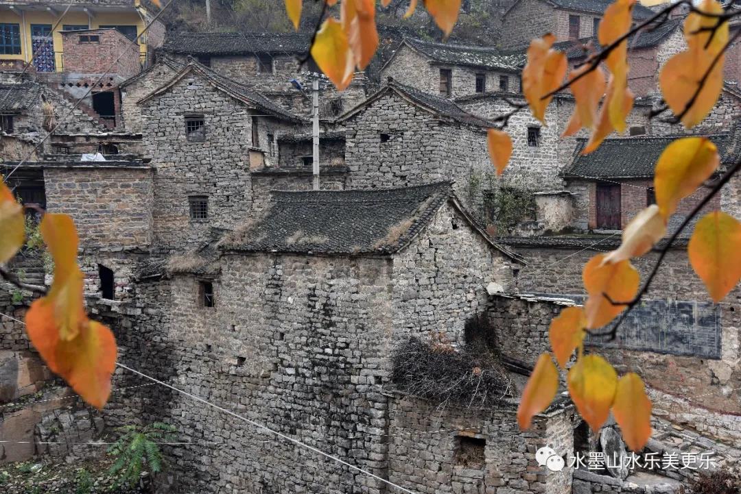 微信图片_20210305085454 微信图片_20210305085454.jpg