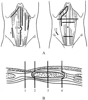 pagenumber_ebook=77,pagenumber_book=62