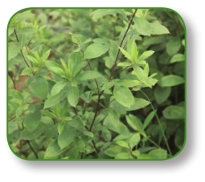 pagenumber_ebook=107,pagenumber_book=94