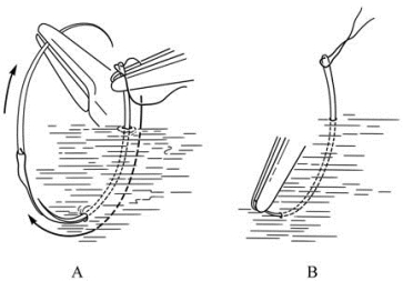 pagenumber_ebook=50,pagenumber_book=35