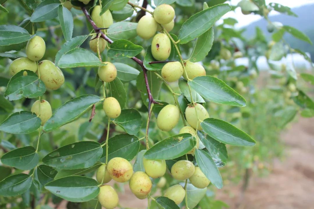 微信图片_20200917001403