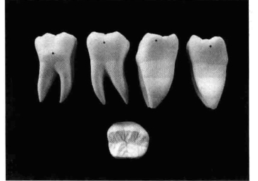 pagenumber_ebook=217,pagenumber_book=208