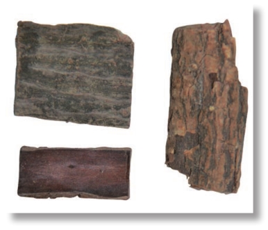 pagenumber_ebook=269,pagenumber_book=256