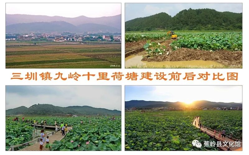 15 15.jpg?v=1766027565543