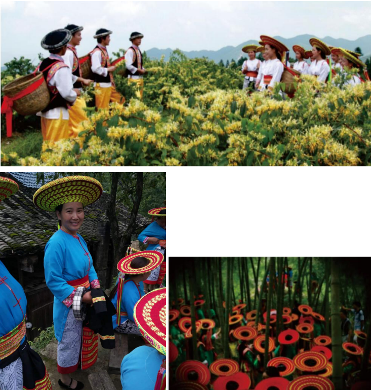 1732259845427 1732259845427.png