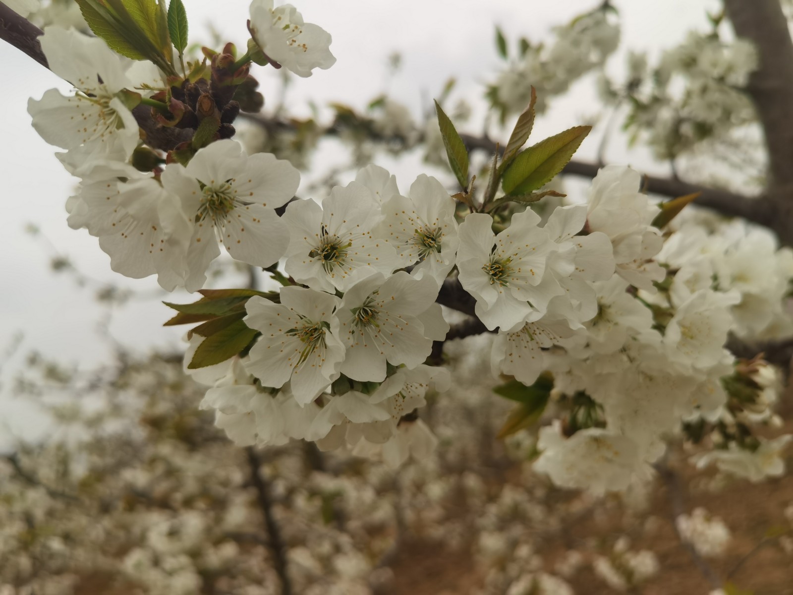 微信图片_20220331085101