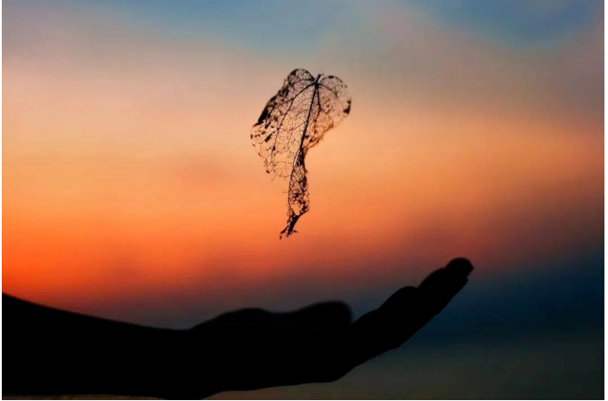 b7c0aad1f750cda6edcc095d11c5ad0 b7c0aad1f750cda6edcc095d11c5ad0.png