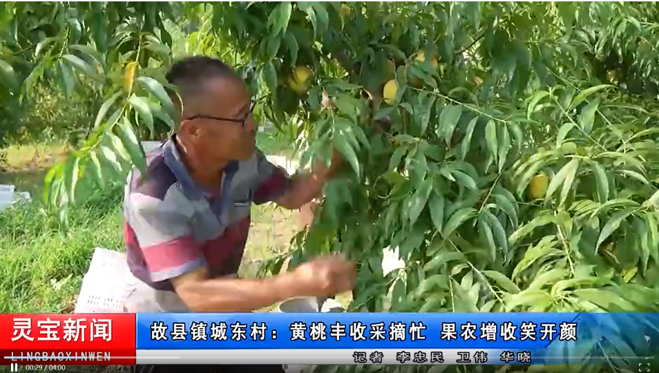 微信图片_20230727171116 微信图片_20230727171116.png