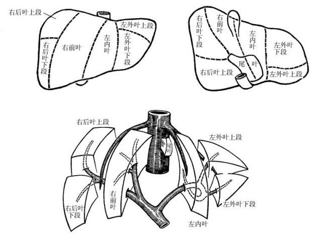 pagenumber_ebook=465,pagenumber_book=450