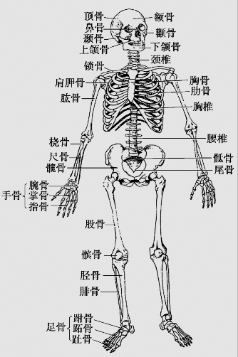 pagenumber_ebook=26,pagenumber_book=13