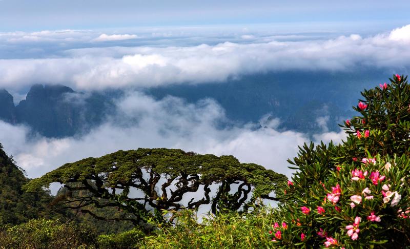 圣堂山2