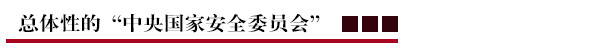 总体性的“中央国家安全委员会”.png