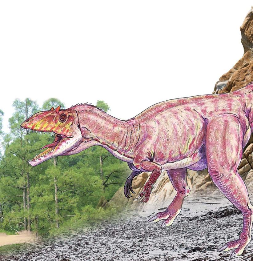 pagenumber_ebook=118,pagenumber_book=107