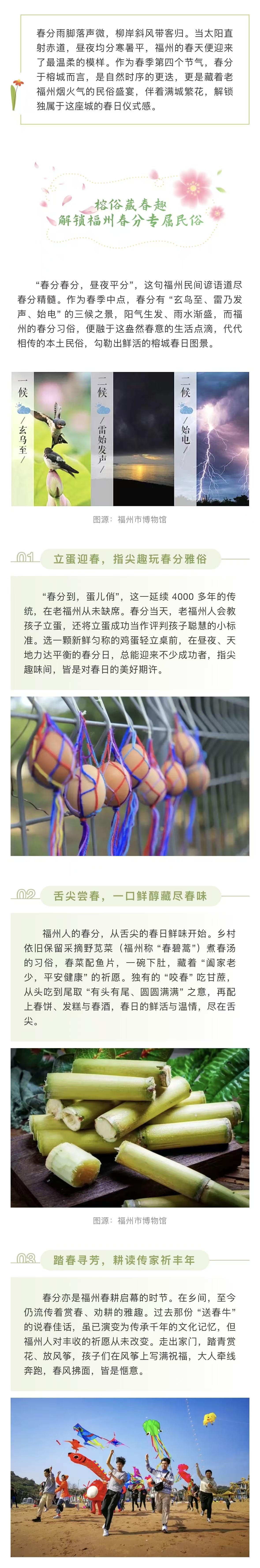 20260320【资讯】春分到，福满榕！来福州，赴一场平分春色之约（上）3jpg