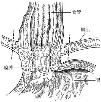 pagenumber_ebook=319,pagenumber_book=304