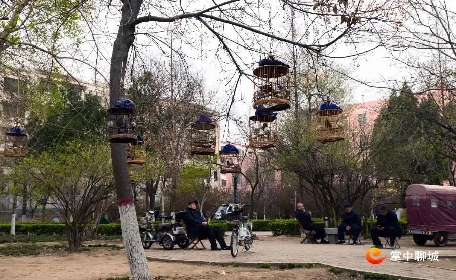 微信图片_20210324085052 微信图片_20210324085052.jpg