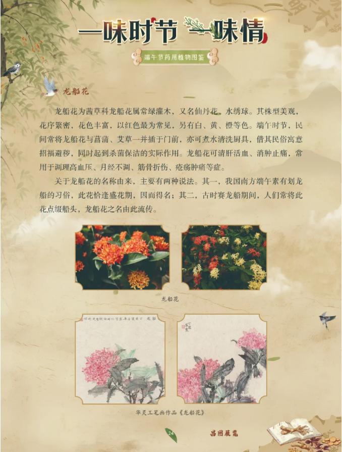image.png?v=1782174181266