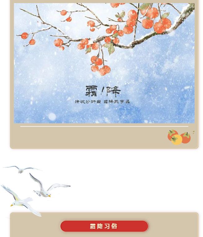 image.png?v=1750226782663