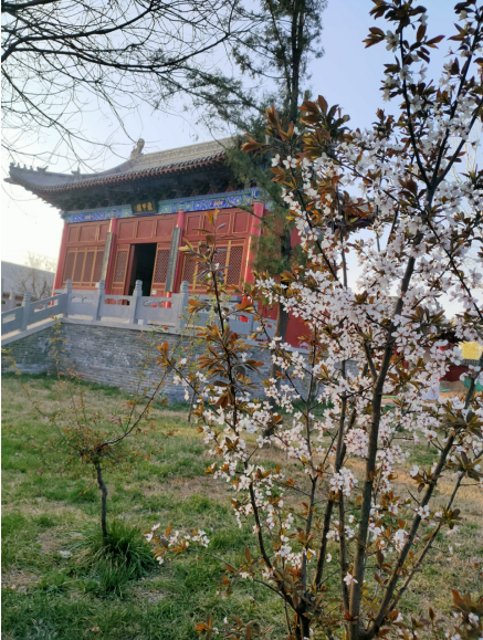 微信图片_20210401112509