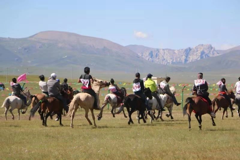 16 16.jpg?v=1765701187538