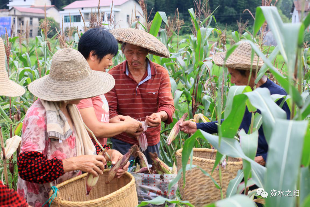 18 18.png?v=1765880647888